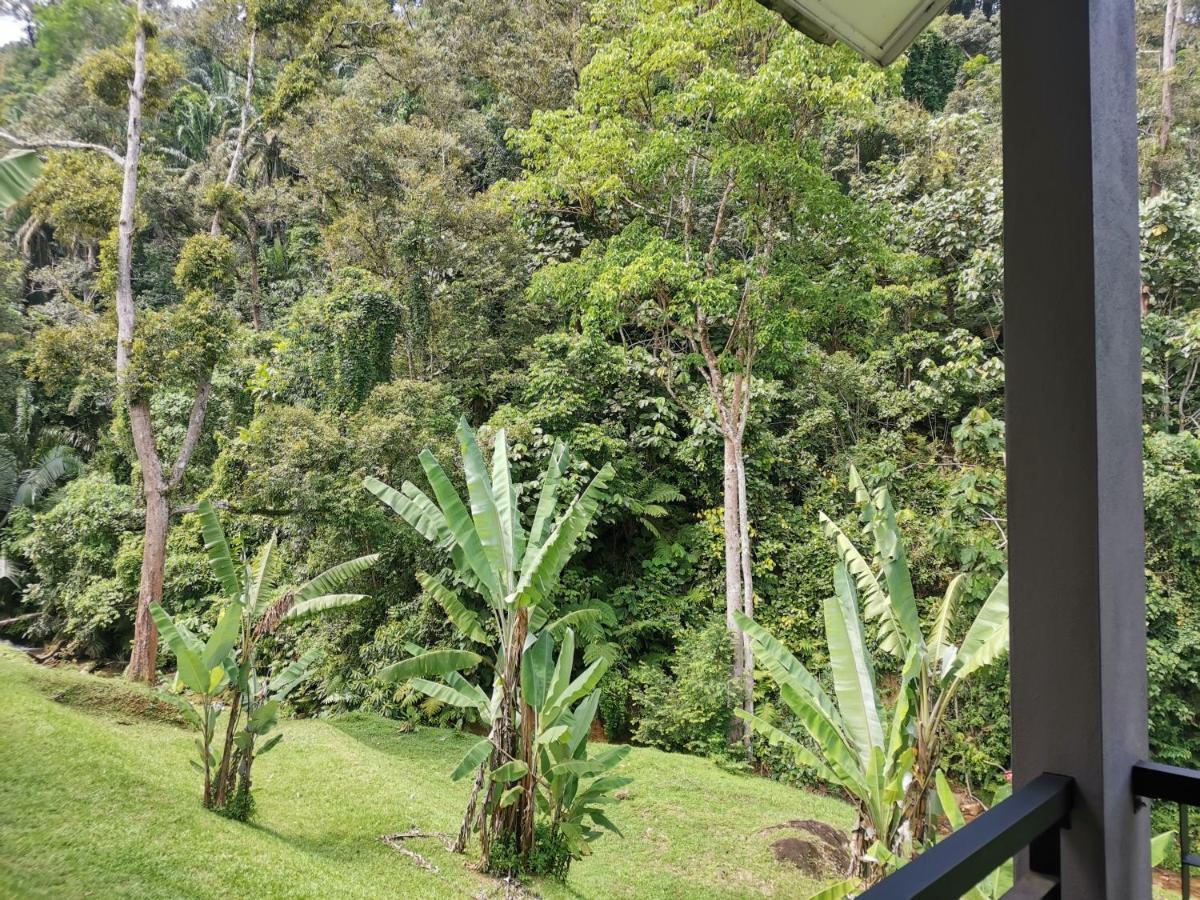 Sementra Hot Spring Nature Resort Gopeng Exterior photo